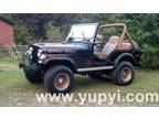 1978 Jeep CJ GOLDEN EAGLE/LEVIS Convertible 258