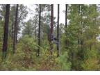 Marion, Marion County, GA Recreational Property, Timberland Property for sale