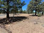 Weed, Siskiyou County, CA Homesites for sale Property ID: 414298924