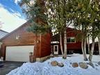 1645 N BADGER LN, SILVERTHORNE, CO 80498 Single Family Residence For Sale MLS#