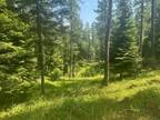 Kalispell, Flathead County, MT Undeveloped Land for sale Property ID: 416985859