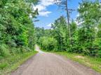 Laneville, Rusk County, TX Undeveloped Land for sale Property ID: 418349897