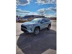 2019 Toyota RAV4 XLE Premium AWD 4dr SUV