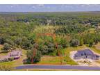 Wesley Chapel, Pasco County, FL Undeveloped Land, Homesites for sale Property