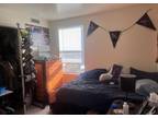 Spring Semester Sublet