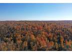 Fine, Saint Lawrence County, NY Recreational Property, Timberland Property