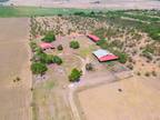 Skidmore, Bee County, TX Farms and Ranches, Recreational Property