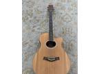Giannini desde 1900 acoustic electric guitar