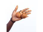 Handmade In Ghana Pair of Kashaka Asalato Rattle Shaker Kosika Double Gourd