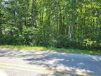 Gladwin, Vacant wooded back lot. Ready to camp or build.