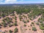 Plot For Sale In Show Low, Arizona