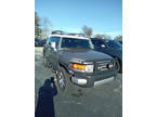 2010 Toyota FJ Cruiser Base 4x4 4dr SUV 5A