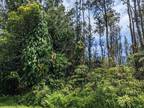 Plot For Rent In Pahoa, Hawaii