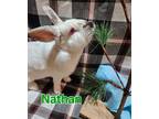 Adopt Nathan a Californian