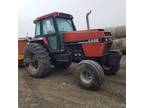 1985 Case IH 2594 Tractor For Sale In Gary, Minnesota 56545