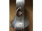 Vintage Antique French Horn With Case
