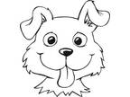 Adopt A GENERIC DOG : SMALL/MEDIUM a Mixed Breed (Medium) dog in Langley