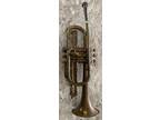 Pan American Cornet / Trumpet playable