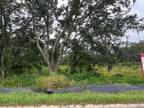 E DIANA, TAMPA, FL 33610 Land For Sale MLS# T3477280
