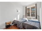 1 Bedroom In Brooklyn Brooklyn 11207-2903