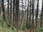 LOT 12 HOLLY RIDGE, NANTAHALA, NC 28781 Land For Sale MLS# 144537