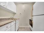 Condo For Sale In New York, New York