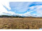 Port Angeles, Clallam County, WA Undeveloped Land for sale Property ID: