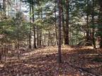 Plot For Sale In Pittsfield, New Hampshire
