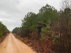 Ladelle, Drew County, AR Recreational Property, Hunting Property for sale
