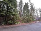 64680 E SANDY RIVER LN, Rhododendron, OR 97049 Single Family Residence For Sale