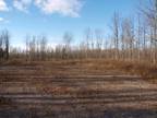 North Lawrence, Saint Lawrence County, NY Undeveloped Land for sale Property ID: