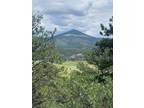 Florissant, Teller County, CO Recreational Property, Undeveloped Land