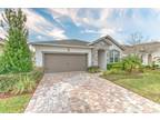 11621 Blue Woods Dr, Riverview, FL 33569