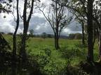 Off-grid Horse Ranch Down Mud Lane in Waimea Beautiful Property!