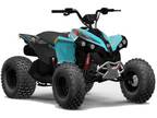 2024 Can-Am Renegade 110 EFI ATV for Sale