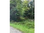 Plot For Sale In Hermon, Maine