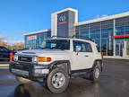 2009 Toyota FJ Cruiser