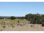 Fence Lake, Cibola County, NM Farms and Ranches, Undeveloped Land