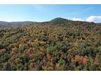Groton, Grafton County, NH Timberland Property for sale Property ID: 418076715
