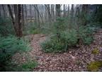 Sapphire, Jackson County, NC Undeveloped Land, Homesites for rent Property ID: