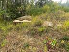 Lot for sale in Lakeshore, Charlie Lake, Fort St. John, 13195 Park Frontage