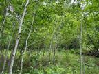 Plot For Sale In Wilton, Maine