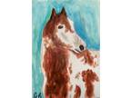 Horse Pinto Stallion Aceo Signed Original Animal Painting