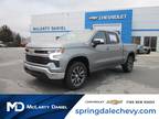 2024 Chevrolet Silverado 1500 LT LT1