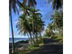 Pahoa, Hawaii County, HI Recreational Property, Undeveloped Land