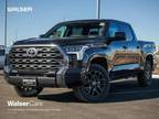 2024 Toyota Tundra Blue, new