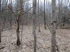 Hopkinton, Saint Lawrence County, NY Undeveloped Land for sale Property ID: