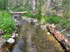 Nevada City, Nevada County, CA Timberland Property, Undeveloped Land for sale