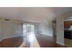 1 bedroom in Norwood MA 02062
