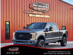 2017 Ford F250 Super Duty Crew Cab Platinum Pickup 4D 8 ft